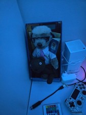 Compare the meerkat Sergei