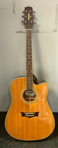 Peavey electro acoustic guitar - peavey,