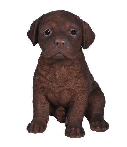 Vivid arts pet pal chocolate - vivid,
