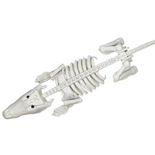 Halloween Crocodiles Skeleton Decor Halloween Decor for Garden Haunted Room