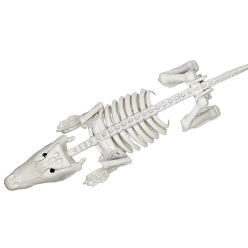Halloween crocodiles skeleton - halloween,