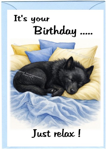 Schipperke dog - schipperke, (4"x