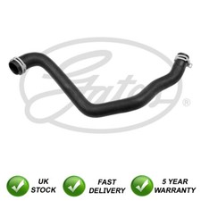 Radiator coolant hose lower - coolant,