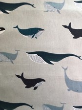 Sophie Allport Orcas Humpback