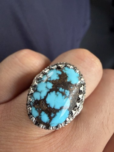 Stunning persian turquoise - persian,