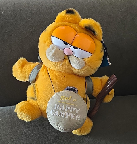 Dakin garfield not happy - garfield, a