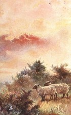 Tuck 9009: Harry Payne: Sheep Grazing on the Hilltop, Kentish Pastures. KEVII.