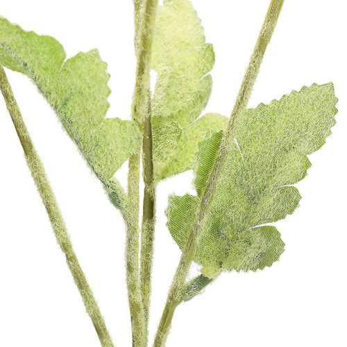 Head flocked poppy - 4,