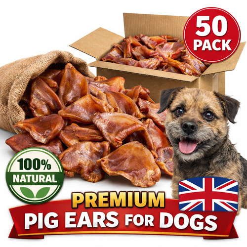 Large natural pig - 50,