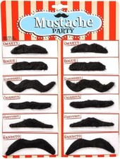 3.5" 12pcs Fake Black
