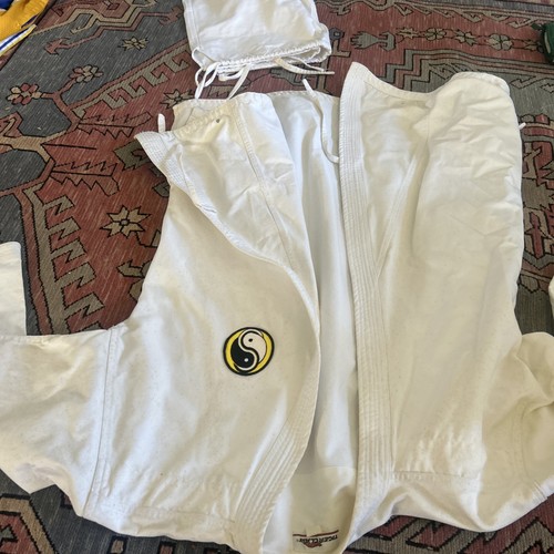 Vintage tiger claw - claw, karate