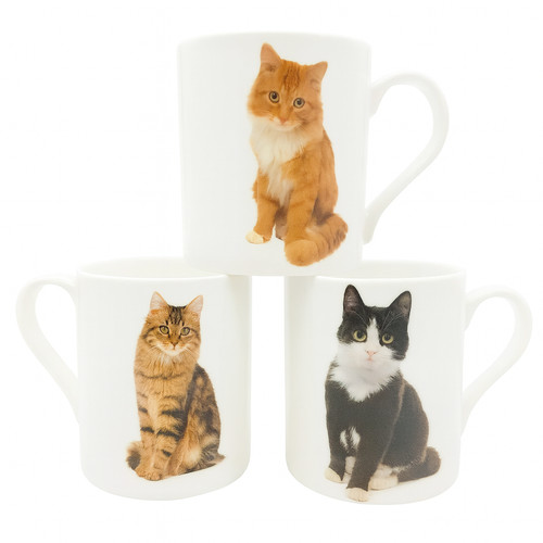 Cat mugs bnib ginger - bnib,