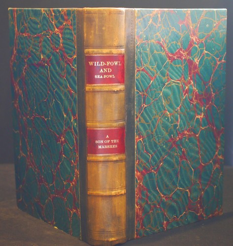 Fine binding wild - *fine, sea