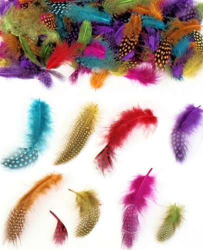 100 spotted feathers coloured - feathers,