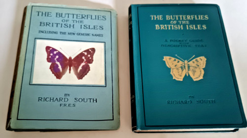 Richard south butterflies - south,