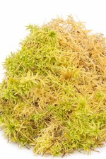 Sphagnum moss live 100 - sphagnum,