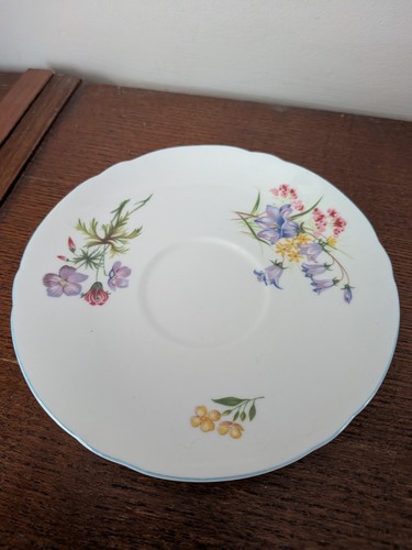 Shelley bone china - shelley,
