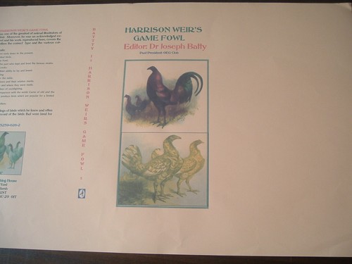 Old english game fowl - old, 1988