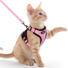 rabbitgoo Cat Harness & Lead