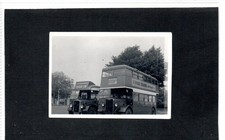 Vintage photograph of Southern