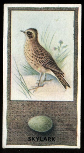 Tobacco card godfrey - card,,
