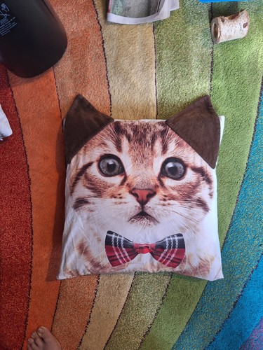 Cat cushion 40x40cm - cat, 40x40cm.