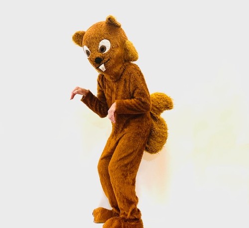 Squirrel mascot fancy - squirrel,