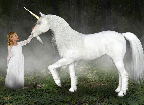 Photo wall mural unicorn - wall, mural-unicorn