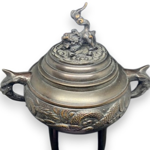 Dragon shisih bronze lion - dragon,