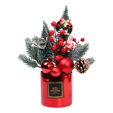 Potted Christmas Arrangement