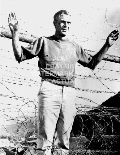 Steve mcqueen the - steve,