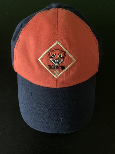 Boy scouts america - boy, of