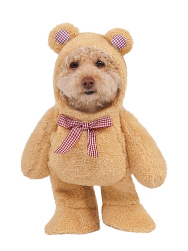 Walking teddy bear fancy dress - walking,