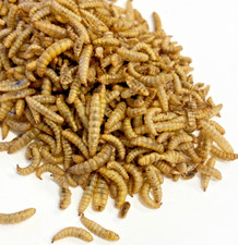 Dried Calci Worms 12.55kg -