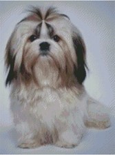 Cross Stitch Pattern, Shih