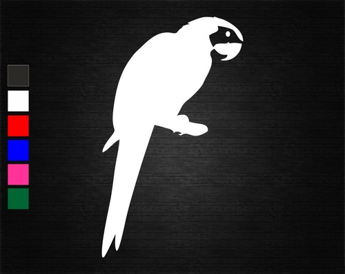 Parrot bird pet - bird, decal