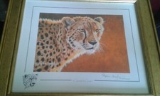 CHEETAH  STEPHEN GAYFORD  PRINT 'CHEETAH GLOW '' 17 X14.5" LTD EDITION 208/1100