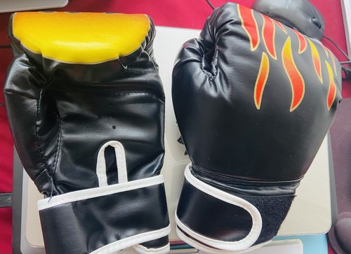 Taekwondo martial arts