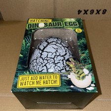 Magic Hatching Dinosaur Egg