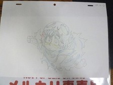 US DDP Bleach Nel Nell