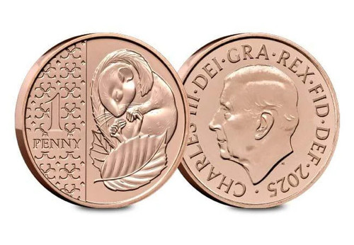 Rare nifc 2025 - 2025, king