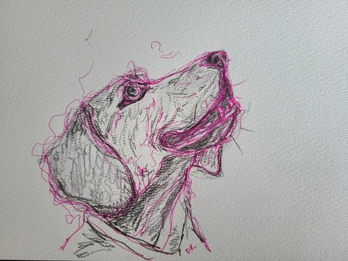 Beagle dog original pen - , and