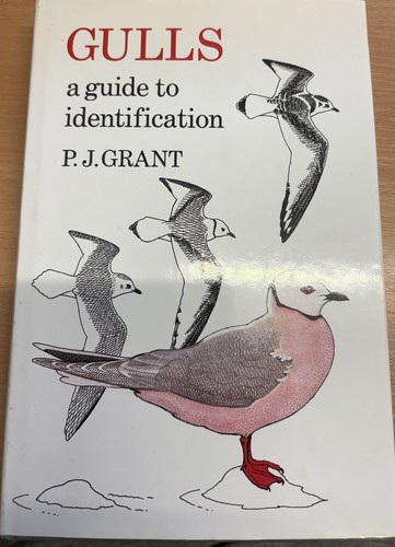 Gulls a guide - gulls:, to