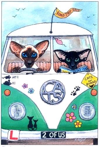 Siamese and oriental cat art - cat,