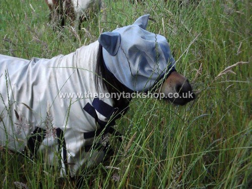 Shetland fly mask sizes fit - shetland,