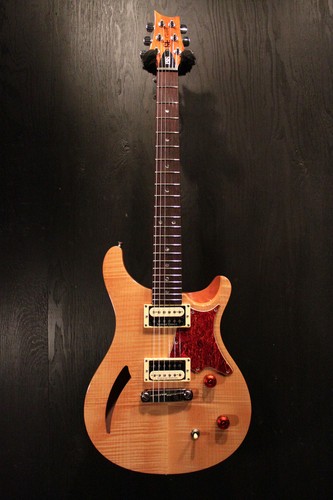 Paul reed smith - paul, se