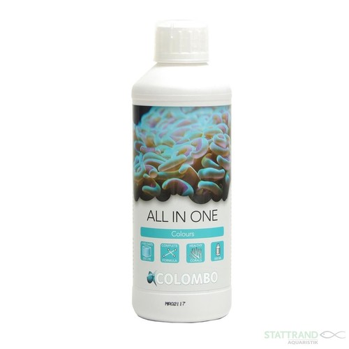 Colombo marine coral - marine, in