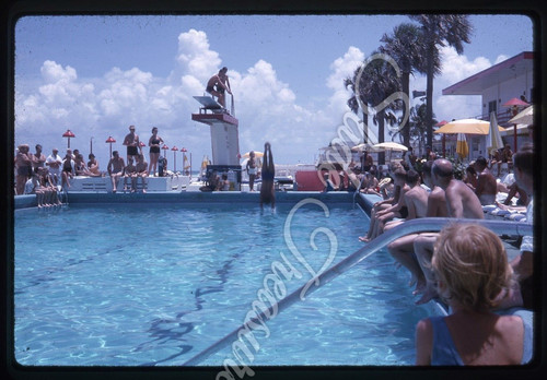 Swimming pool man diving board - swimming,