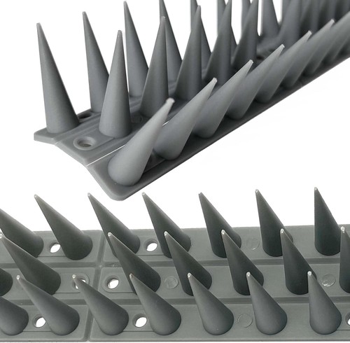 Bird spikes for pigeon - bird,