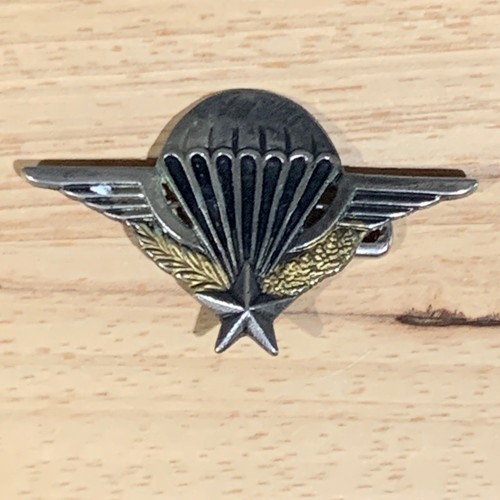 Unbranded paratrooper pin - paratrooper,